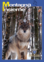 Montagna_Insieme_53_-_Novembre_2017